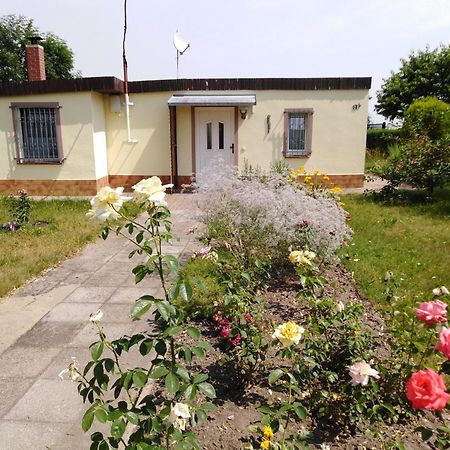 Ferienhaus Kaiserfelder Olbersdorf Zewnętrze zdjęcie